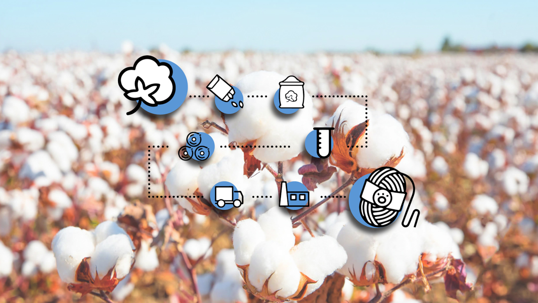 Cotton