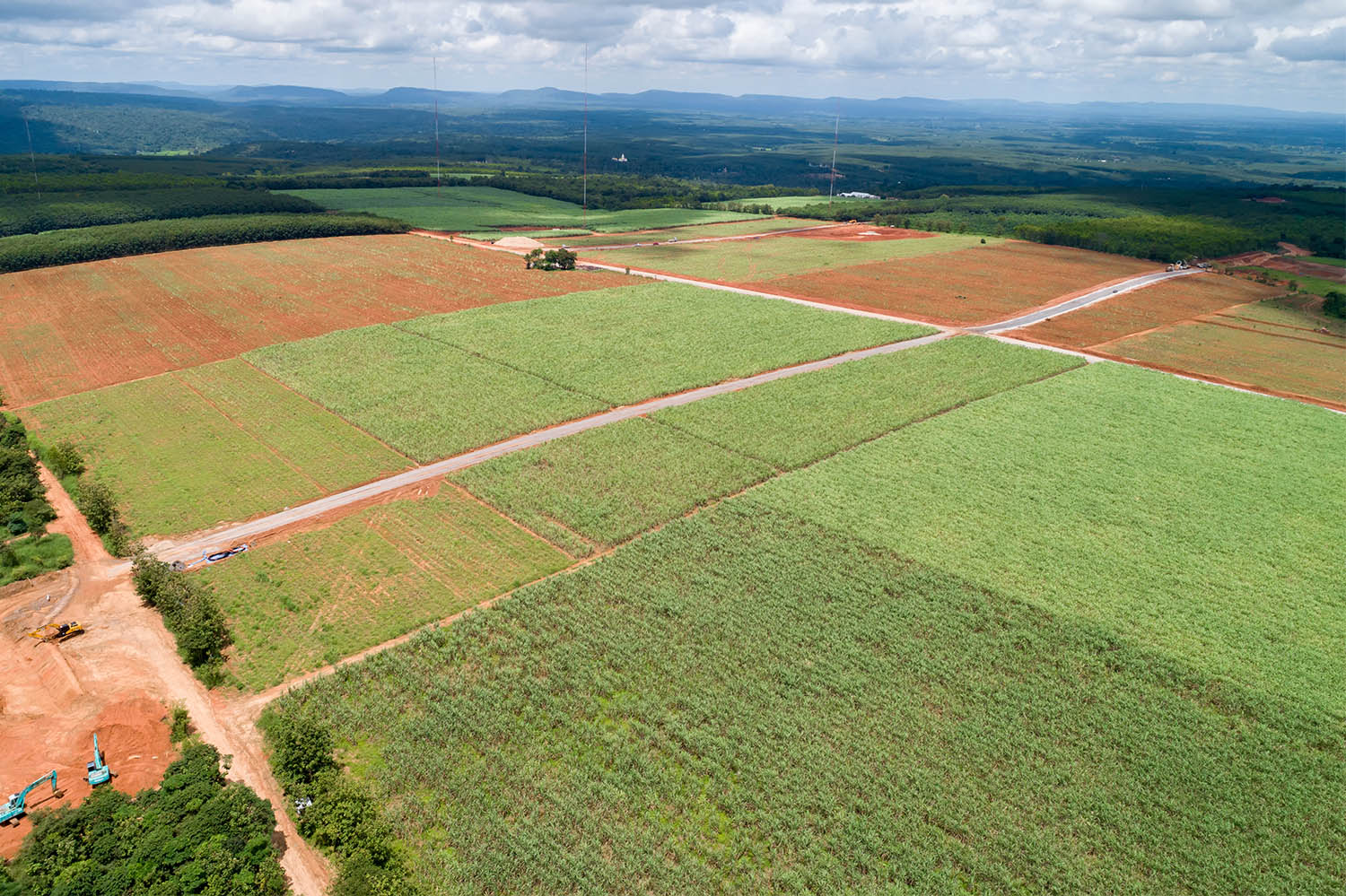 lote campo - Tracestory y agrohub